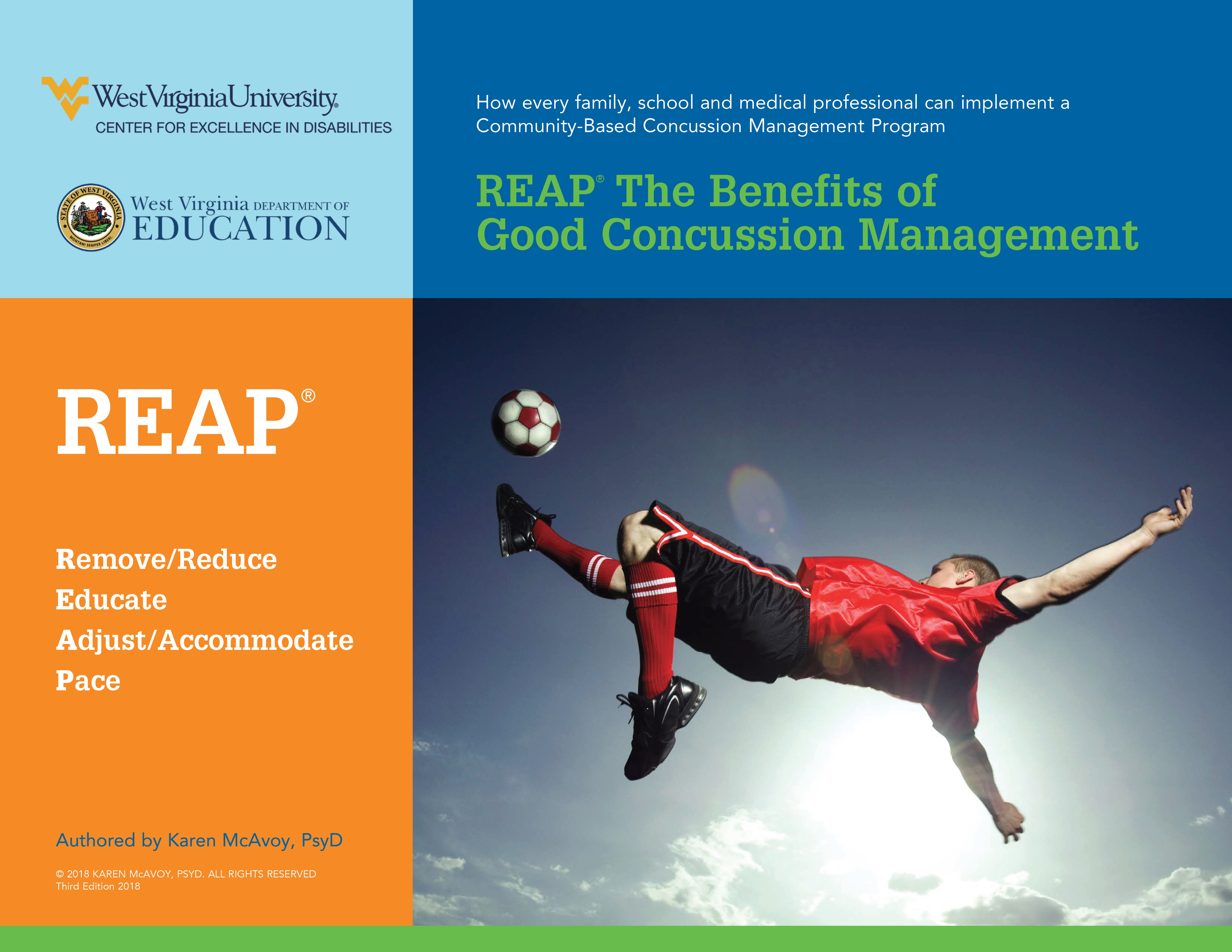 Reap Document Cover