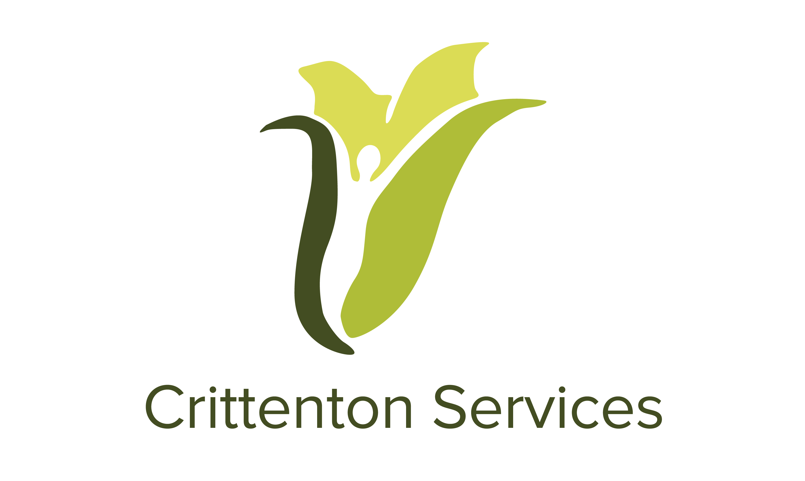 Crittenton Logo