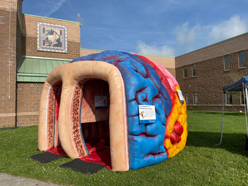 interactive inflatable brain display